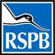 RSPB – Troup Head, Gamrie