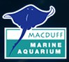 Macduff Marine Aquarium 
